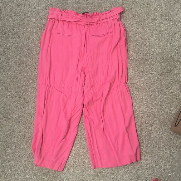 Ann Taylor Pink Cropped Pants - Picture 3 of 3